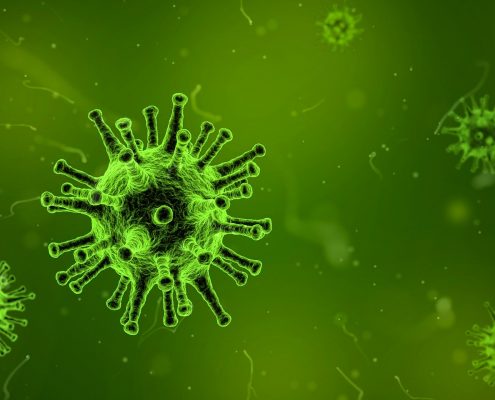 virus tercera edad cómo evitarlos