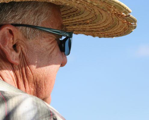 ola de calor, mayores, consejos